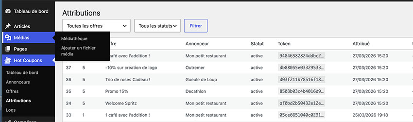 developpement de plug in de coupons promotionnels sous CMS wordpress